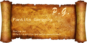 Pantits Gergely névjegykártya